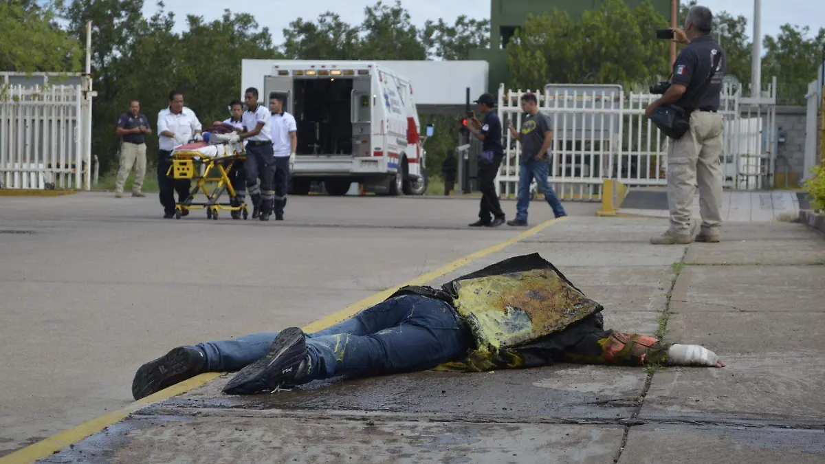 WhatsApp Image 2024-05-13 at 3.22.14 PM