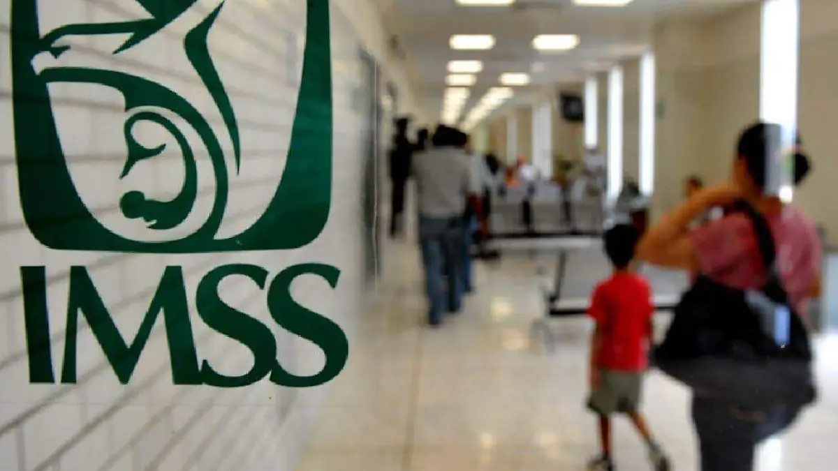 WhatsApp Image 2024-08-31 at 11.32.50 AM