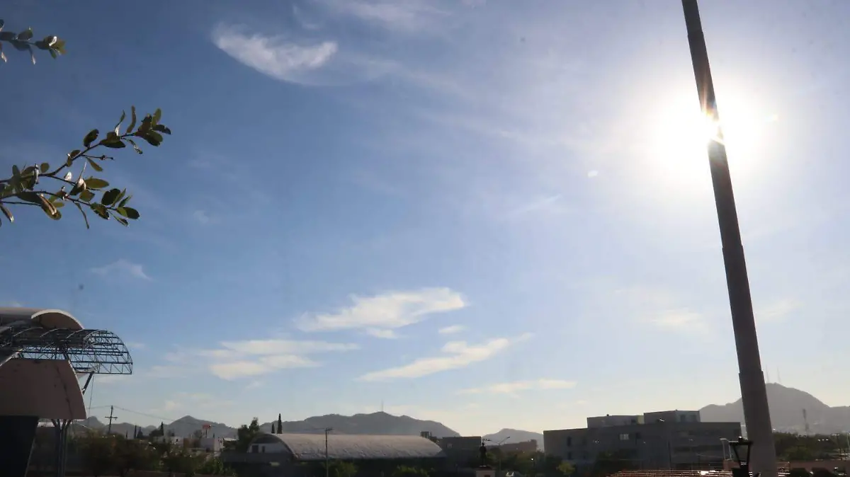 WhatsApp Image 2024-06-01 at 10.17.28 AM