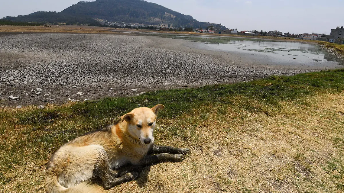 976448_Se seca Laguna Parque Sierra Morelos -5.jpg _impreso