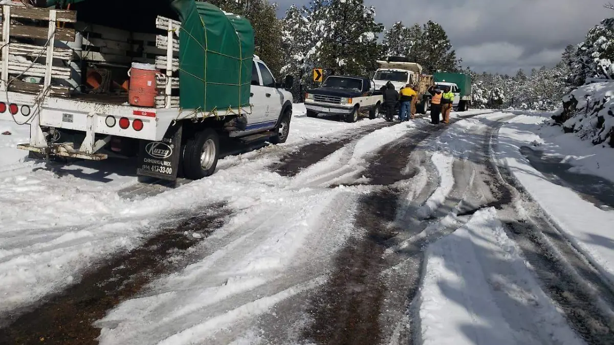 WhatsApp Image 2024-01-24 at 5.10.02 PM