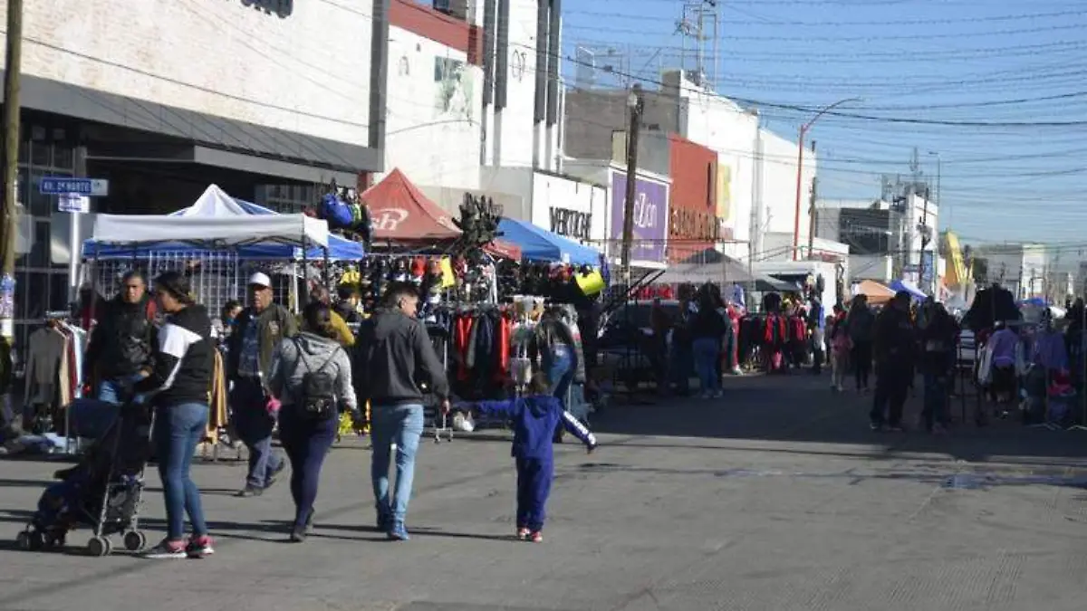 delicias poblacion