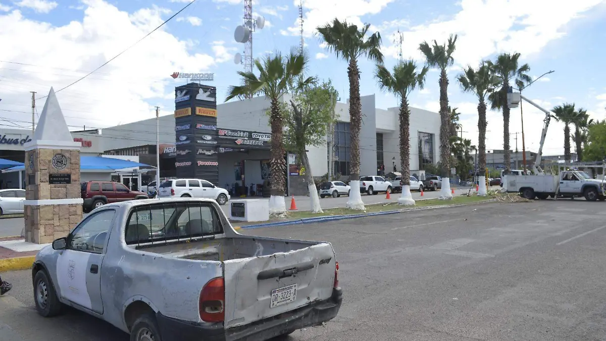 WhatsApp Image 2024-03-27 at 1.04.58 PM (1)