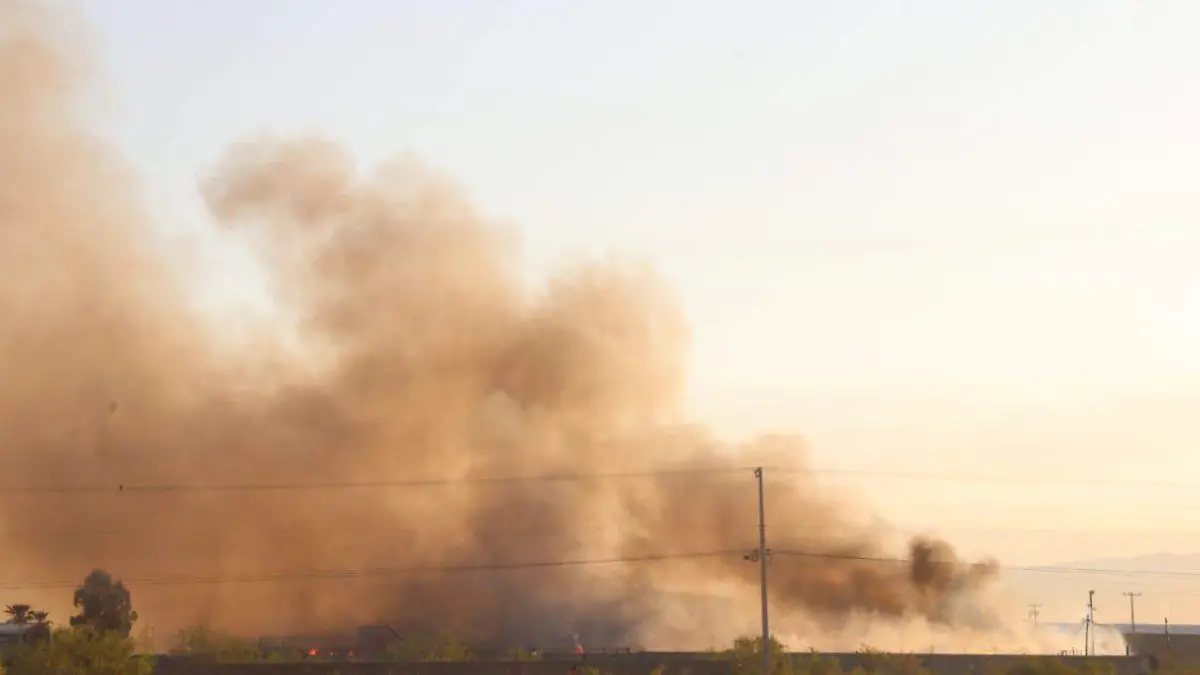 WhatsApp Image 2024-06-07 at 7.39.35 AM (2)