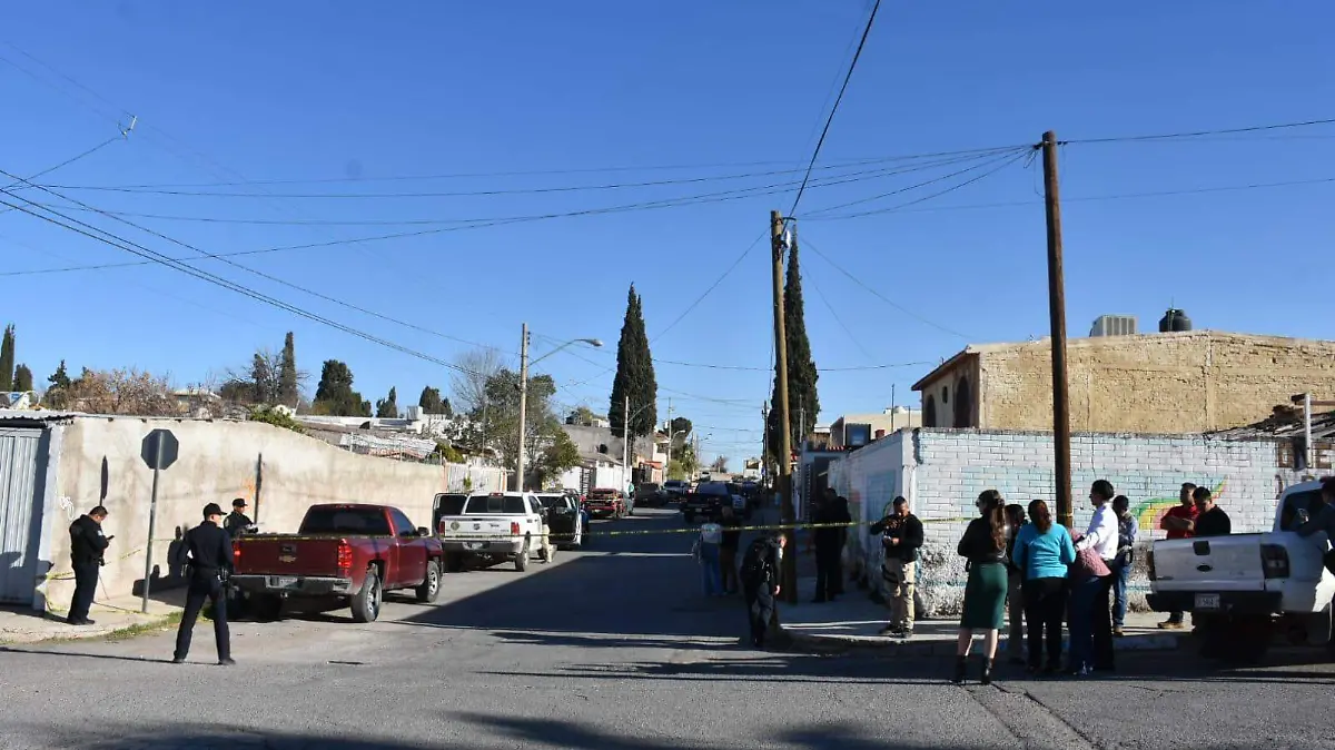 WhatsApp Image 2024-01-19 at 12.45.22 PM