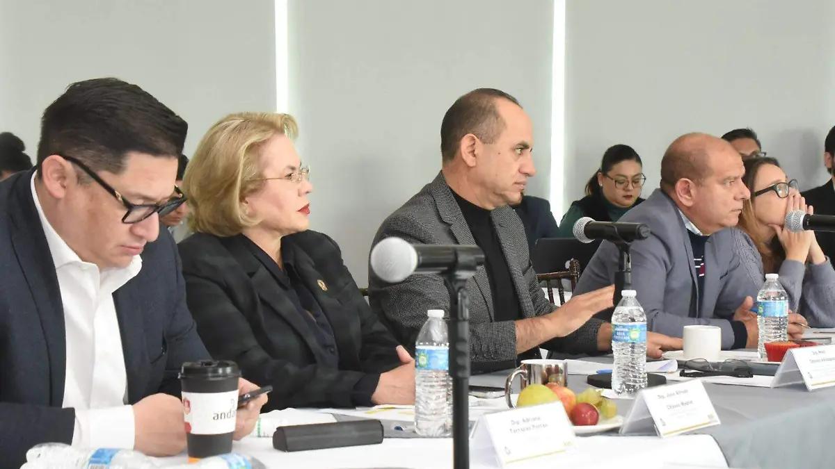 jucopo terrazas chavez diputados