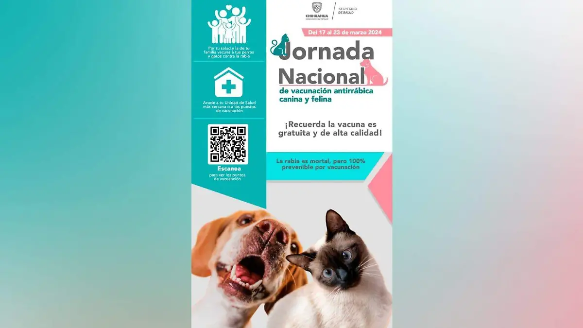 WhatsApp Image 2024-03-17 at 1.21.26 PM (1)