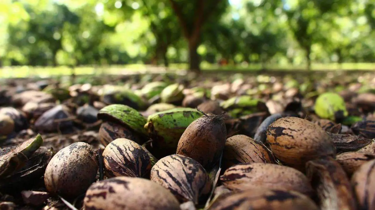 WhatsApp Image 2024-10-09 at 1.40.58 PM