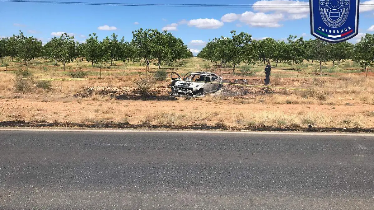 WhatsApp Image 2024-06-22 at 7.48.15 PM