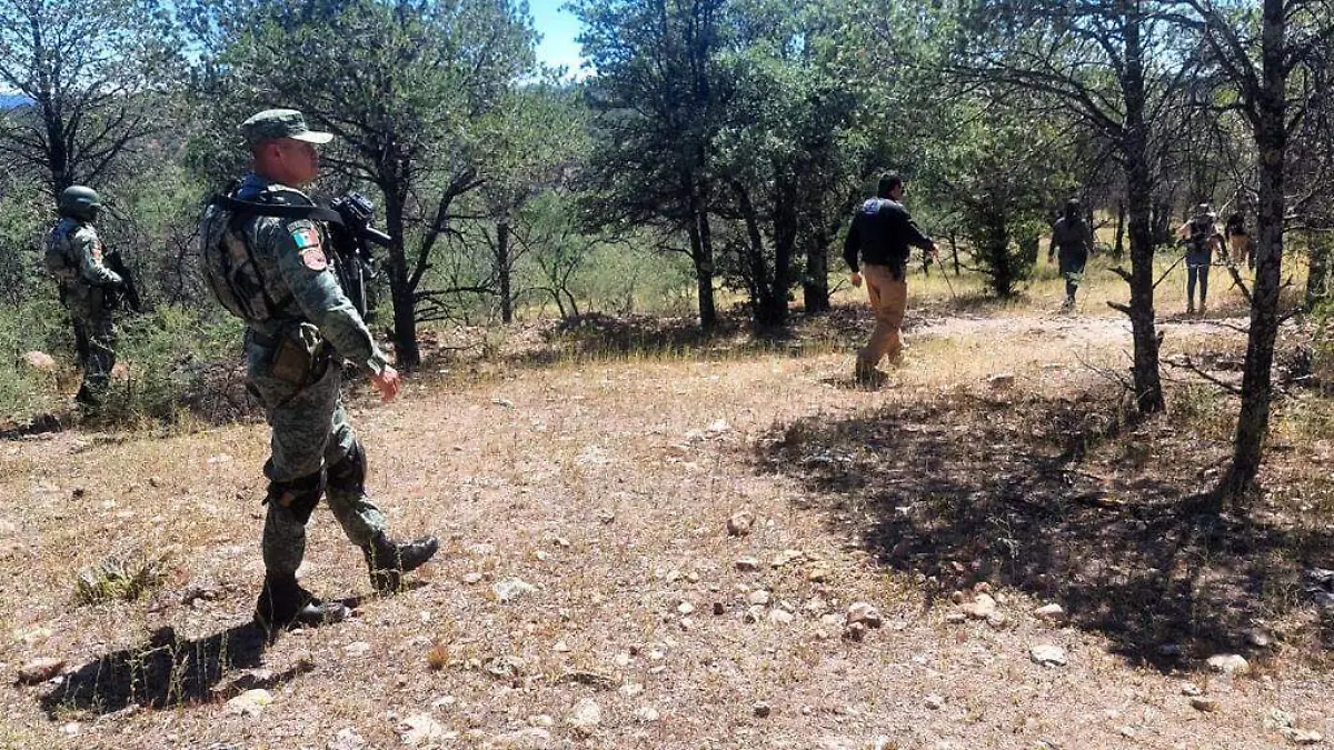 WhatsApp Image 2024-09-28 at 9.41.35 AM (3)