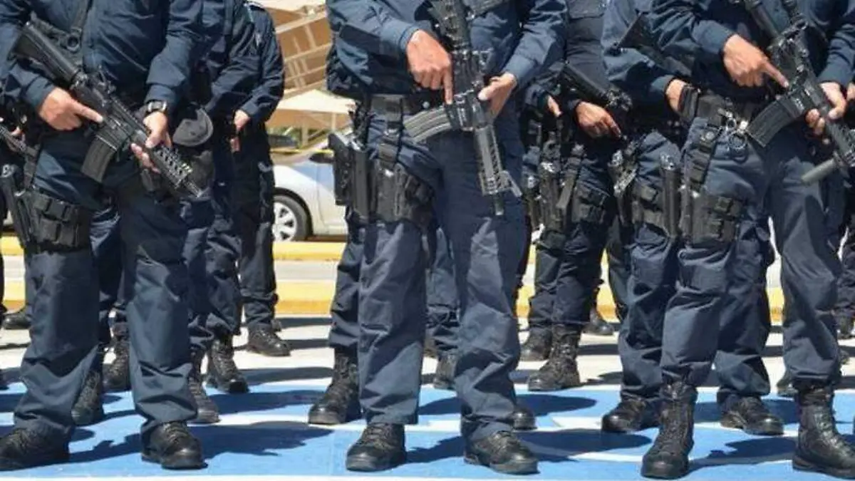 policias estatales