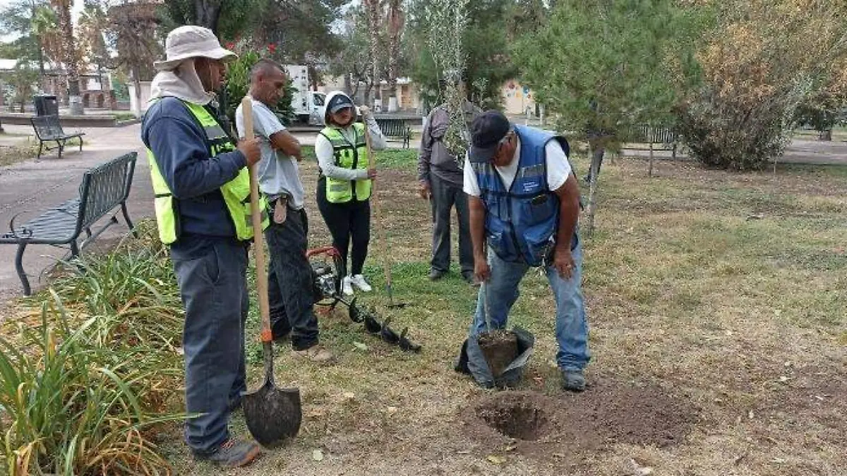 WhatsApp Image 2024-01-05 at 8.15.12 AM