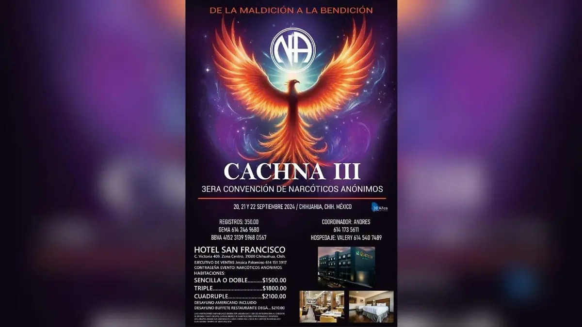 WhatsApp Image 2024-09-20 at 11.04.35 AM