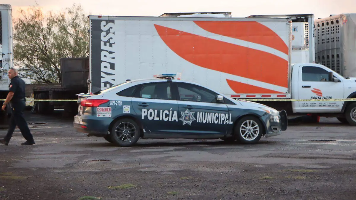 WhatsApp Image 2024-09-23 at 7.52.23 PM