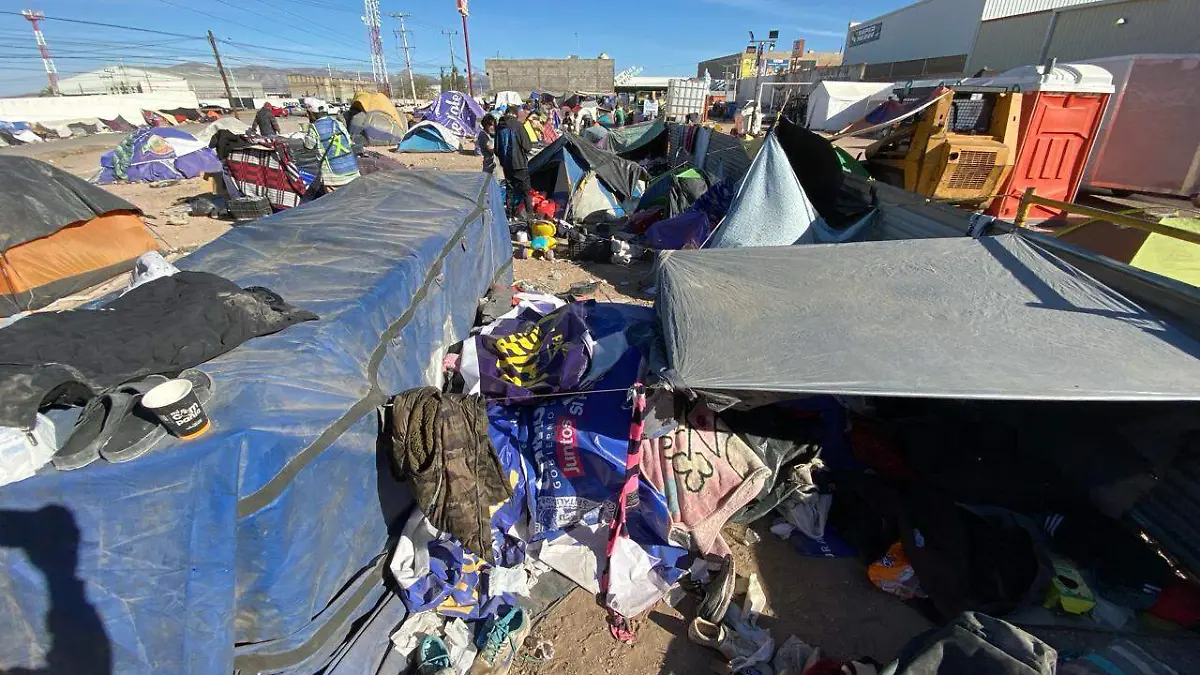 WhatsApp Image 2024-03-05 at 5.17.03 PM