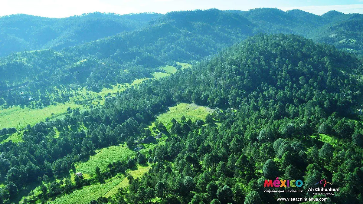 Baborigame, zona serrana, sierra tarahumara