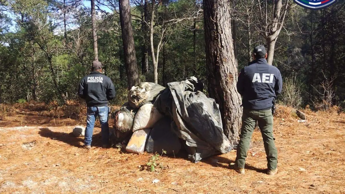 WhatsApp Image 2024-01-26 at 12.12.50 PM