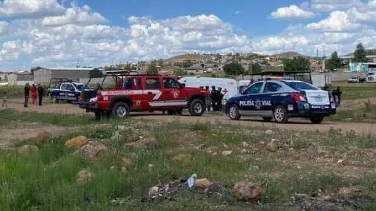 WhatsApp Image 2024-08-19 at 6.11.17 PM