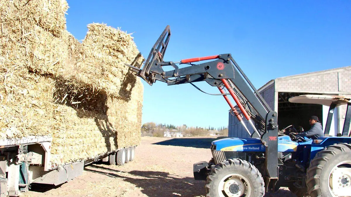 WhatsApp Image 2024-01-05 at 2.34.45 PM