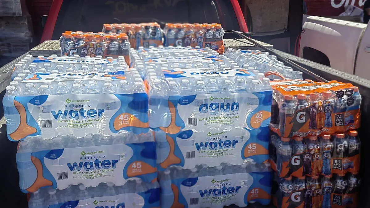 WhatsApp Image 2024-04-28 at 9.34.22 AM (1)