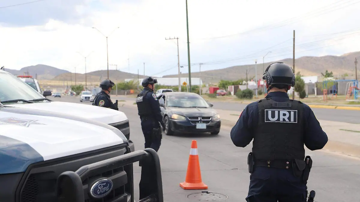 WhatsApp Image 2024-03-28 at 9.25.09 AM (1)