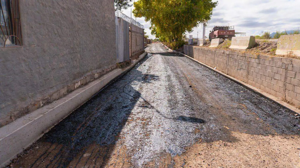 WhatsApp Image 2023-11-13 at 2.39.49 PM