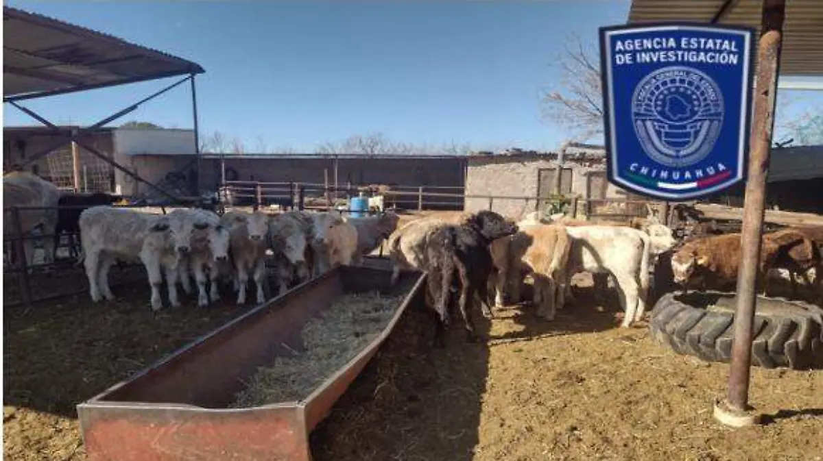 WhatsApp Image 2024-02-19 at 1.39.49 PM