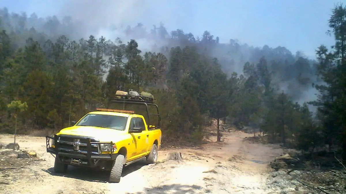 Image 2019-04-23 at 11.25.43 AM