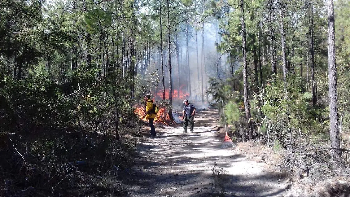 Image 2019-04-23 at 11.25.43 AM (1)