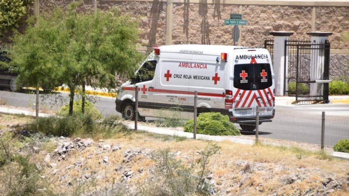 WhatsApp Image 2019-05-30 at 12.46.42 PM