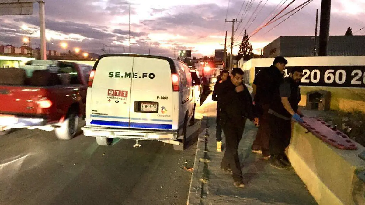 semefo