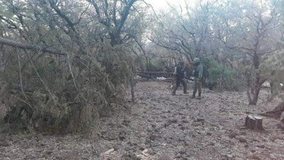 campamentos