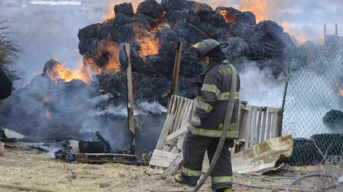 incendio de pastura