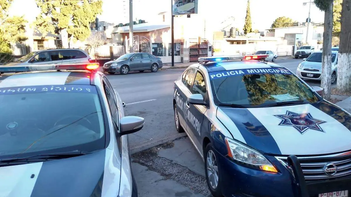 WhatsApp Image 2019-01-11 at 6.38.19 PM