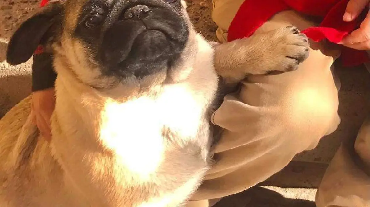 slinky