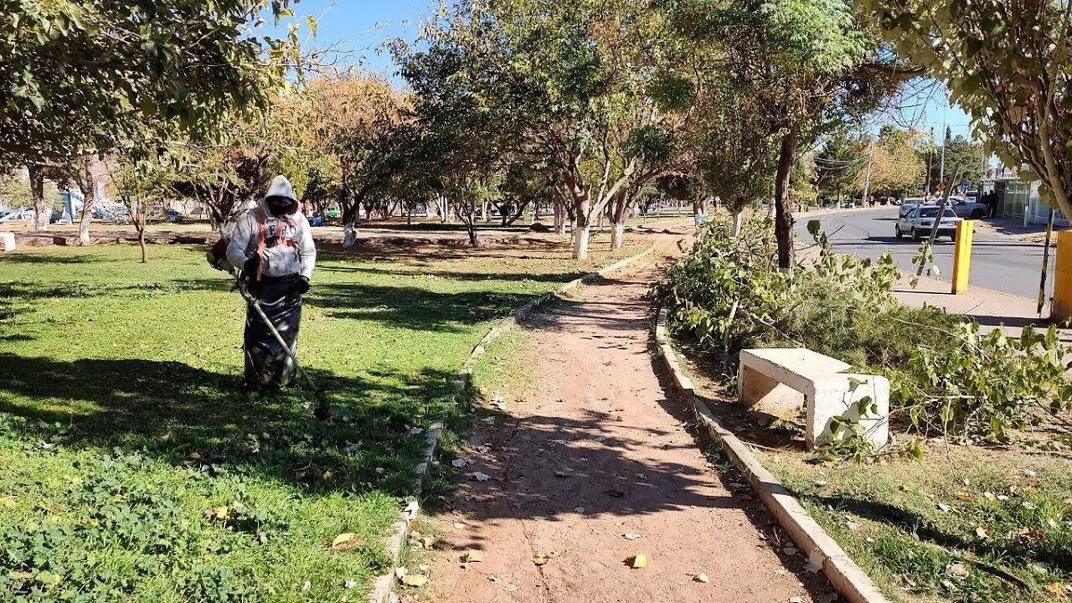 rehabilitacipon parques
