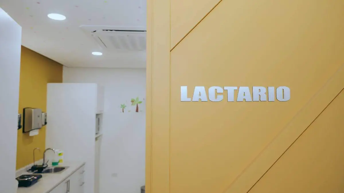 lactariook