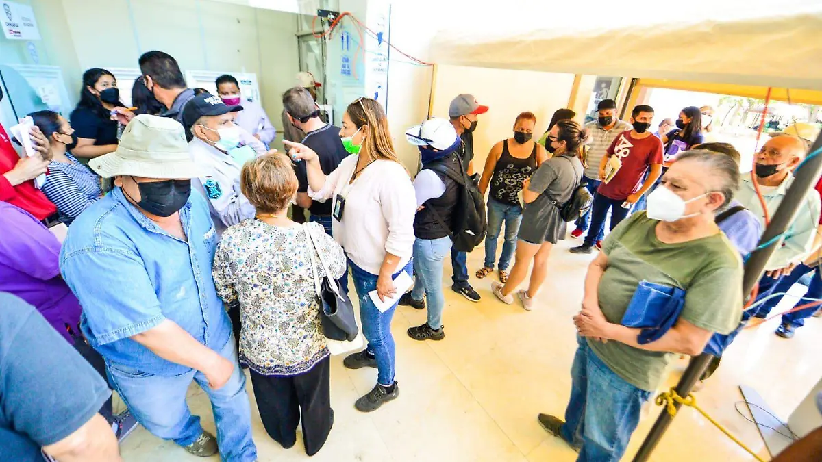 recaudación de rentas ok