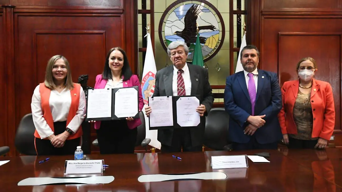 PERPECTIVA DE GENERO