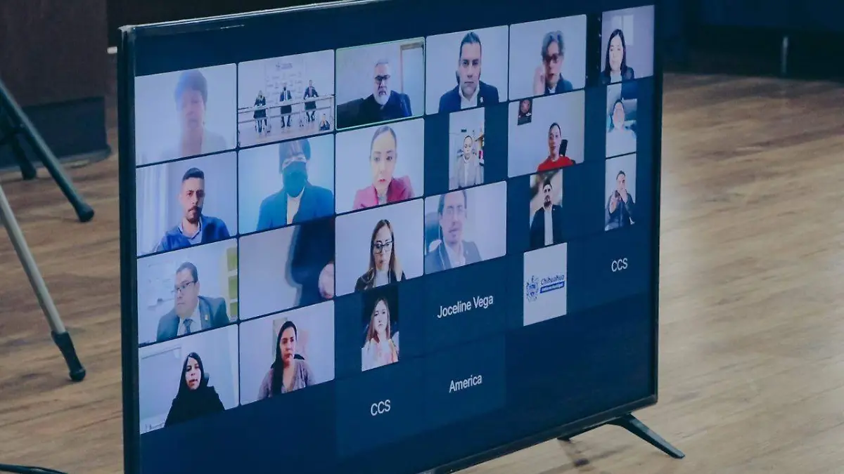 aprueban lineamientos fde organos de control