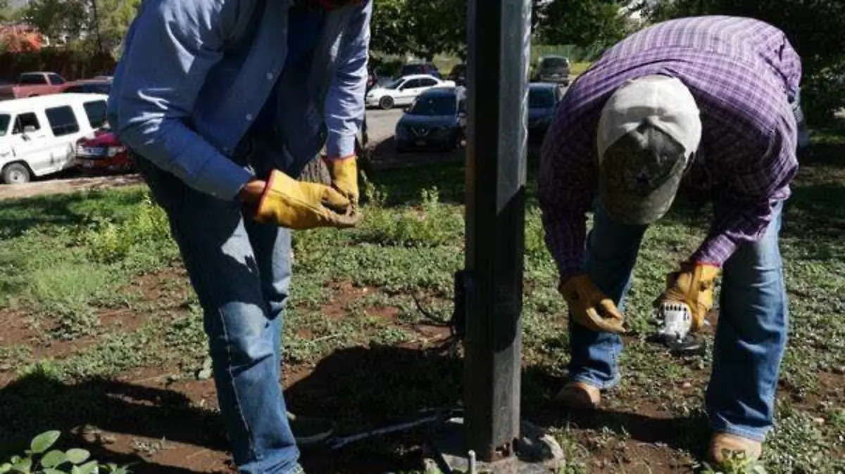 alumbradoenelpalomar