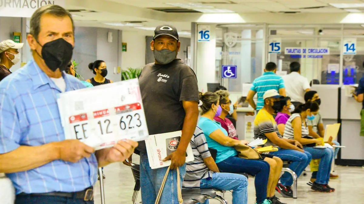 canje de placas chihuahua