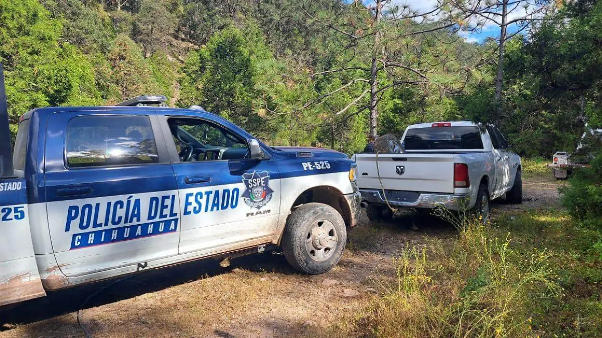 vehiculos1