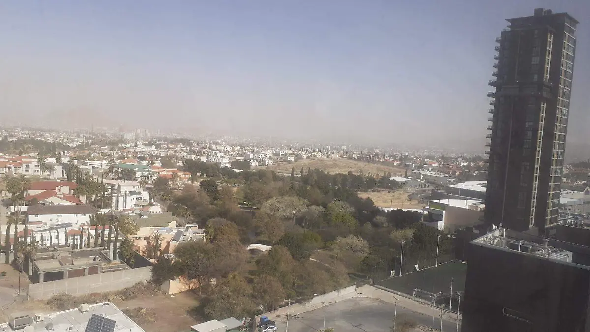 polvo en la ciudad