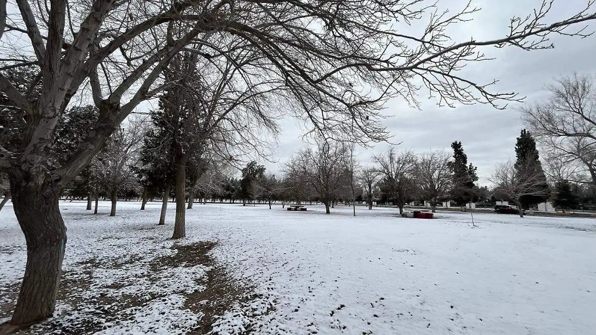 LT NIEVE CHAMIZAL 09