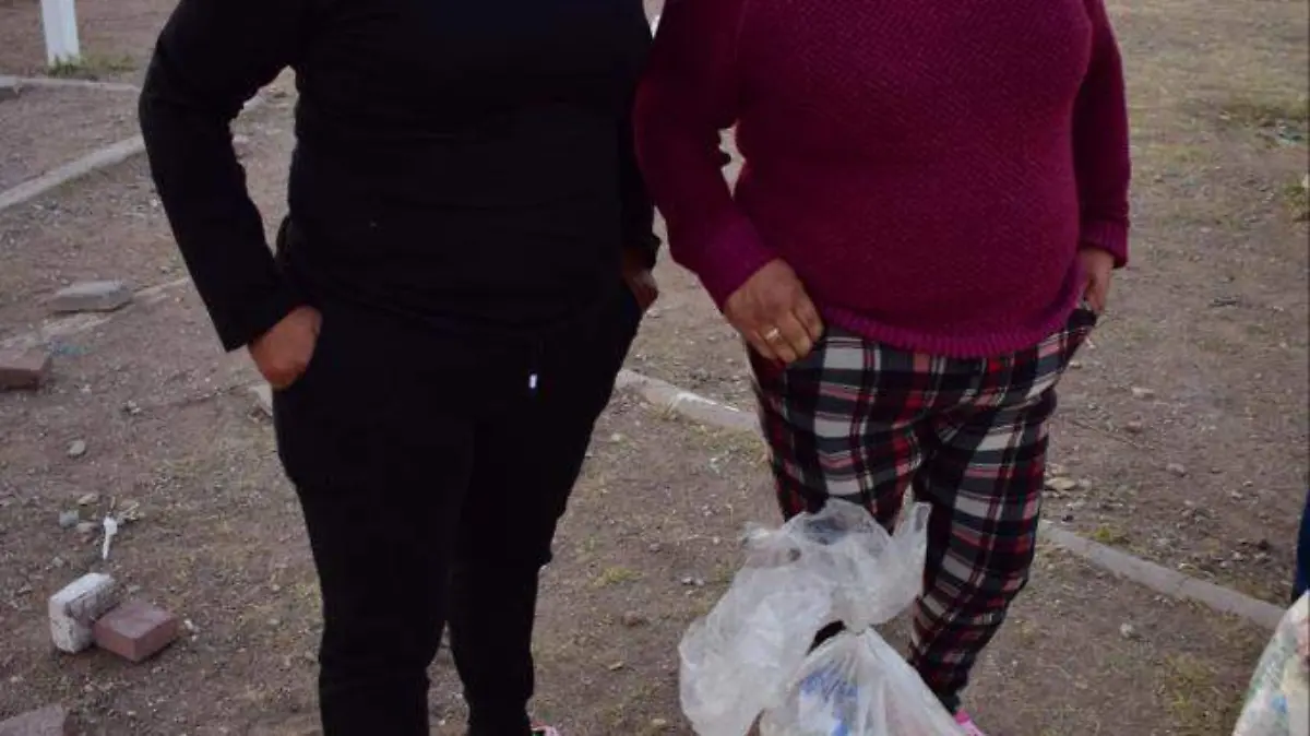 apoyo a familias con depensas