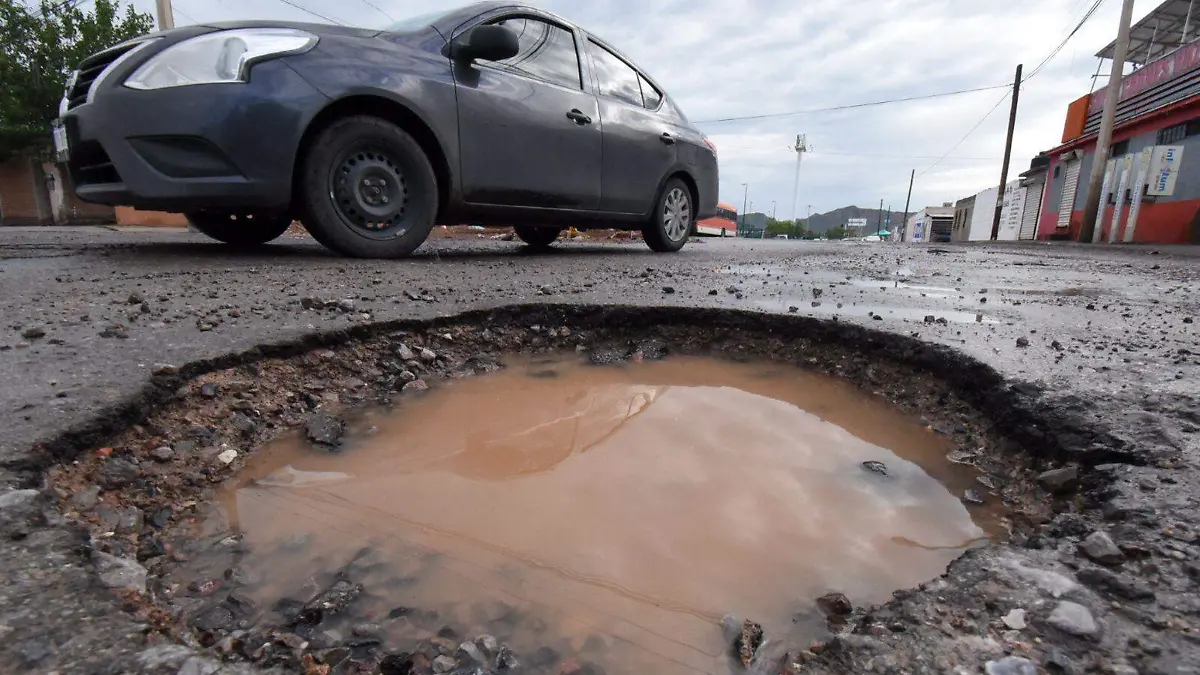 bache oracio