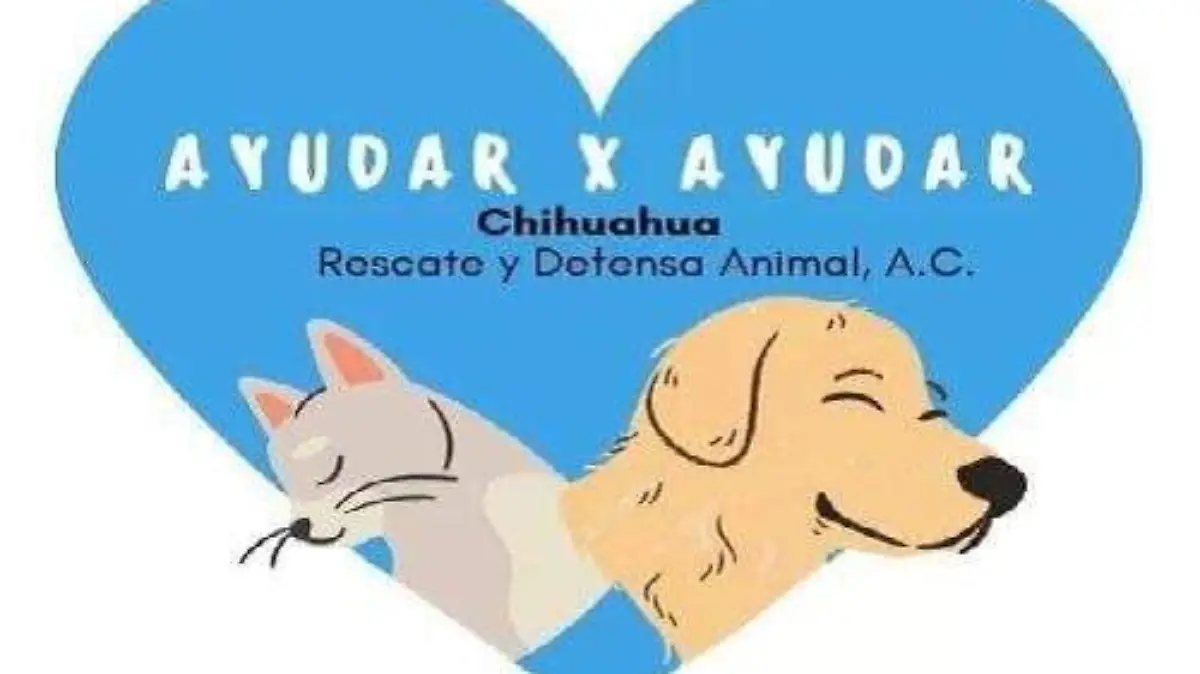 croquetas