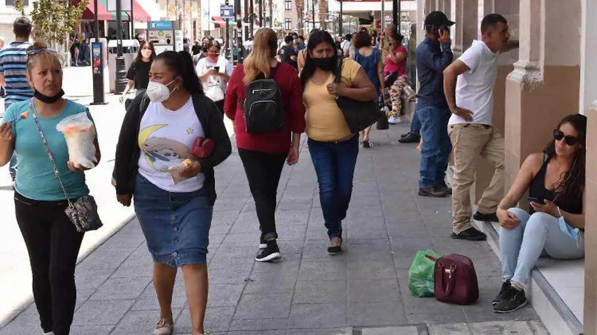 POBLACION NOTA VELVET