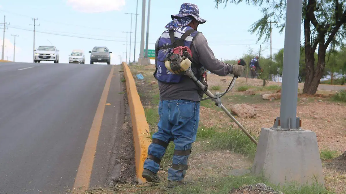 mantenimiento avenidas